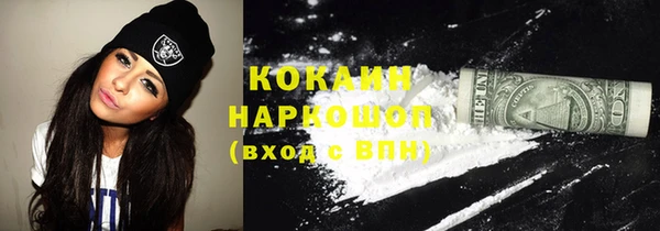 гашик Алексеевка