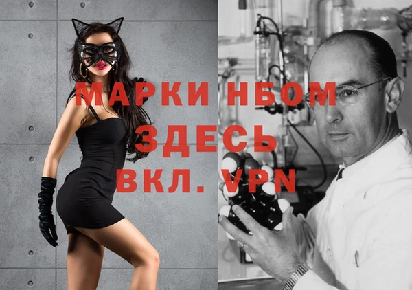 гашик Алексеевка