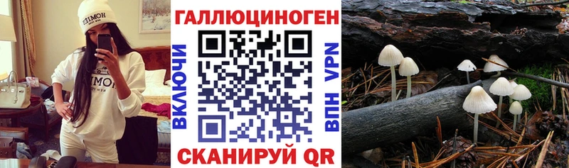 магазин  наркотиков  mega ONION  Псилоцибиновые грибы Cubensis  Родники 